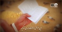 قربون کبوترای حرمت امام حسن ( علی بلوچی )
