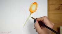 آموزش مرحله به مرحله گل لاله با آبرنگ