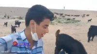 آوازخوانی بسیار زیبای جوان چوپان سوژه رسانه‌ها شد